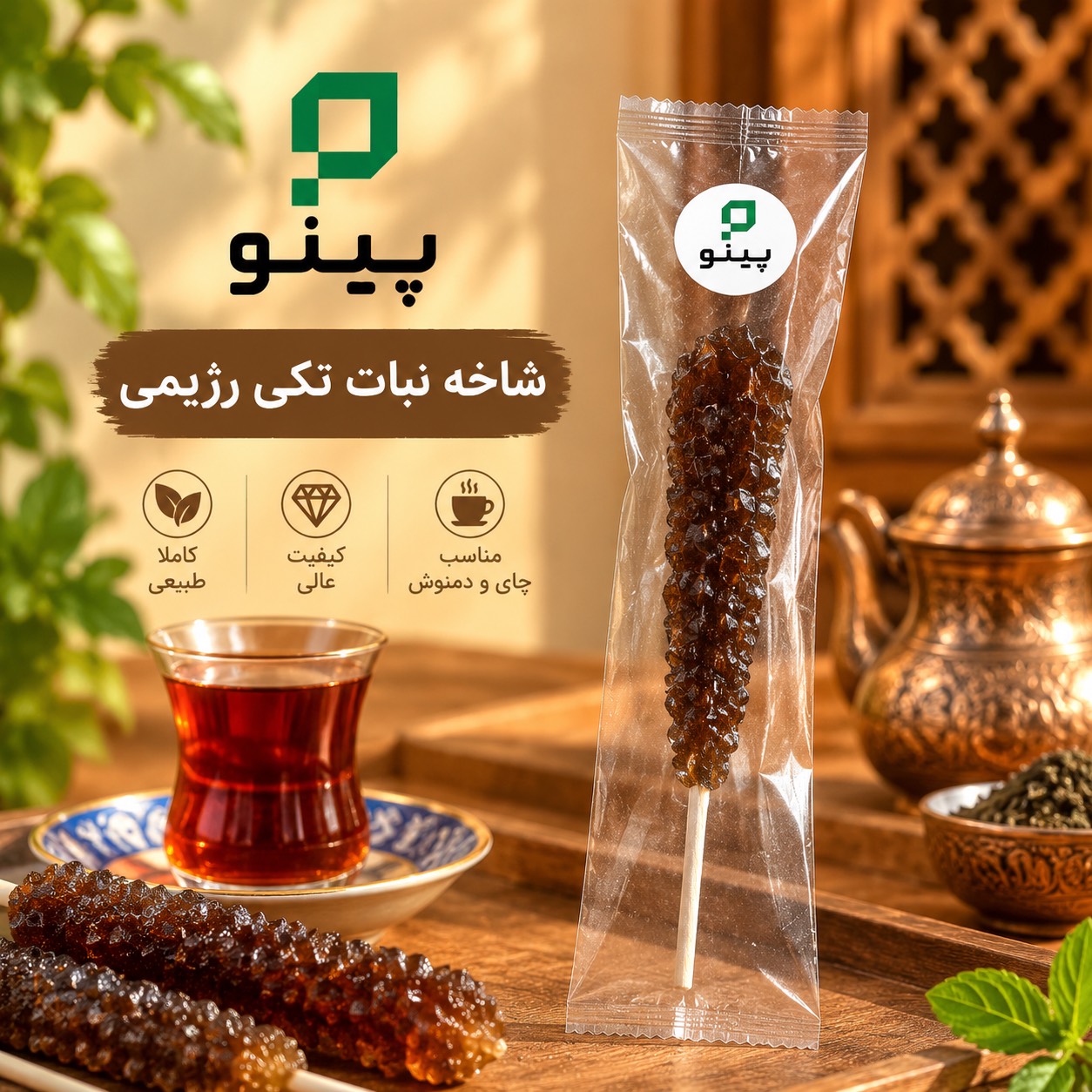 شاخه نبات رژیمی پینو  626500184